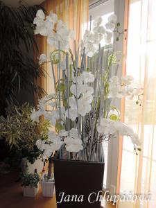 interiérové aranžmá z umělé orchideje.jpg