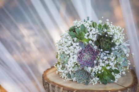 pugét gypsophila,sukulenty